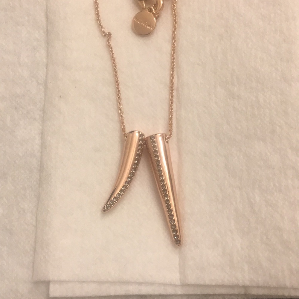 Stella and Dot horn necklace